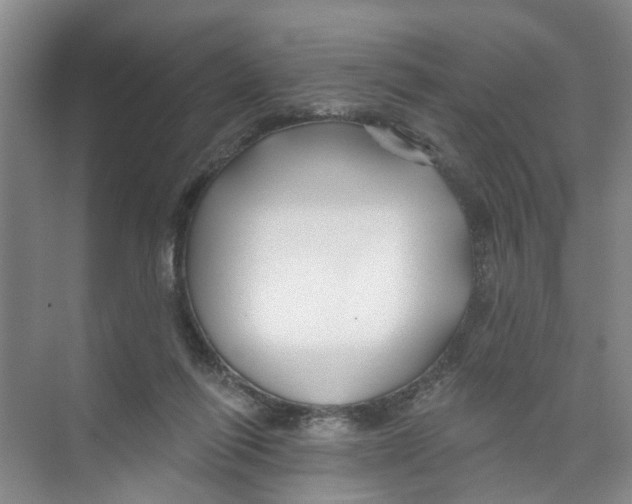 X0000074020262200609181908