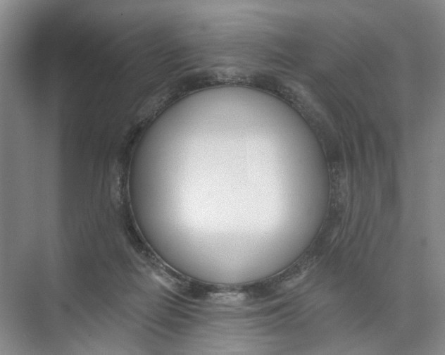 X0000074020266200609181908