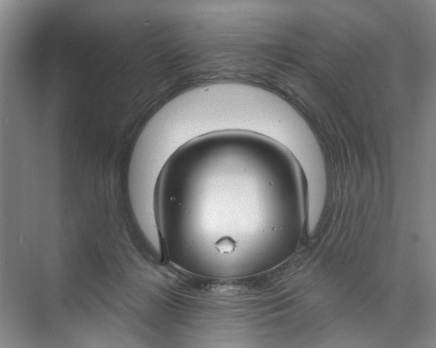 X0000074020268200609181908