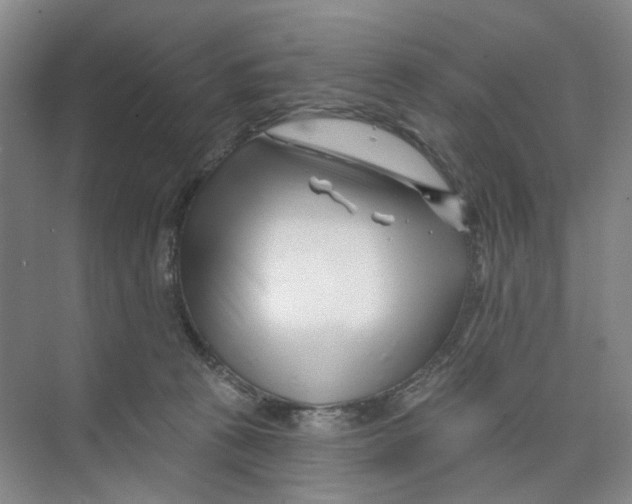 X0000074020273200609181908