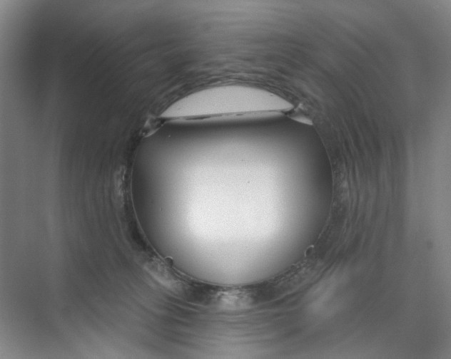 X0000074020275200609181908