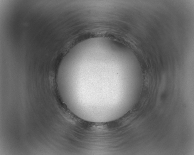 X0000074020283200609181908