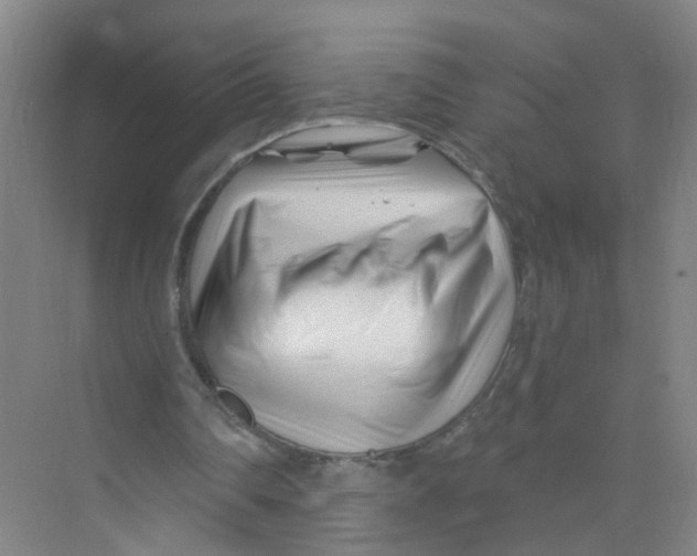 X0000074020290200609181908