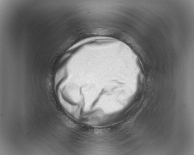X0000074020305200609181907