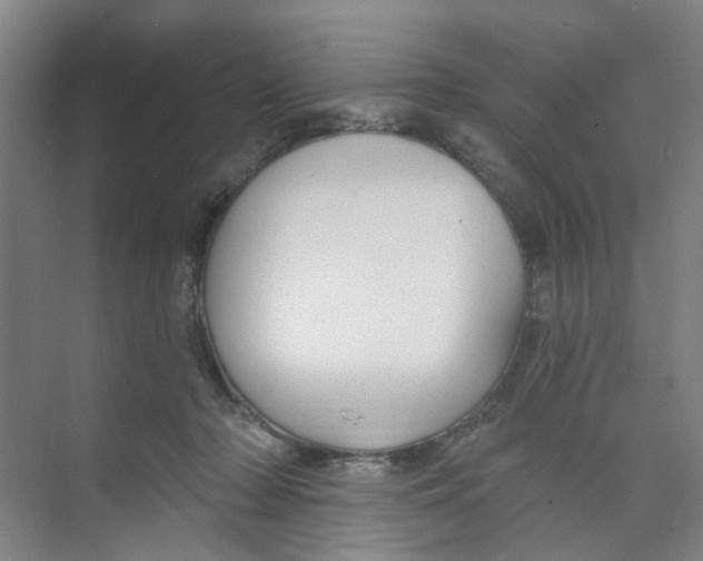 X0000074020318200609181907