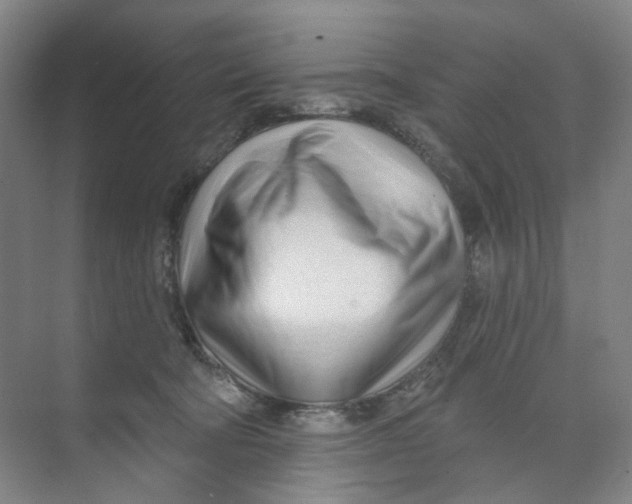 X0000074020322200609181907