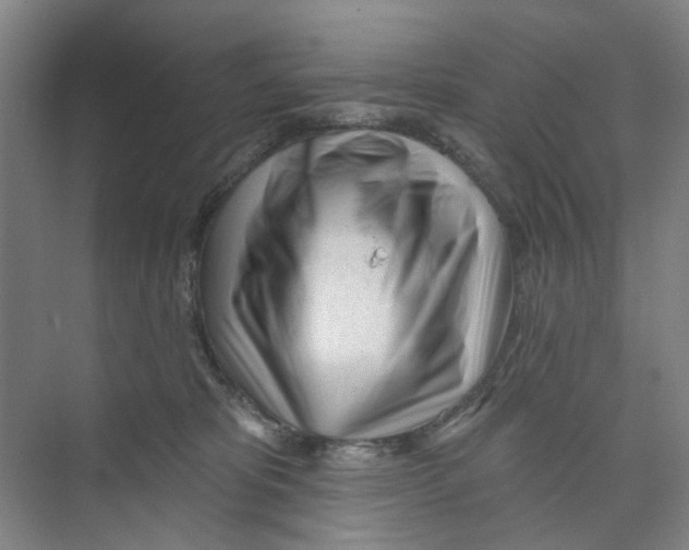 X0000074020325200609181907