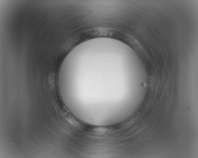 X0000074020326200609181907