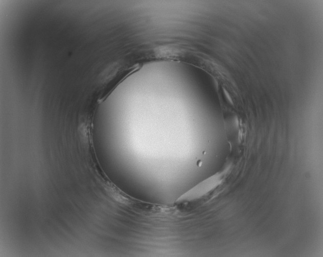 X0000074020329200609181907