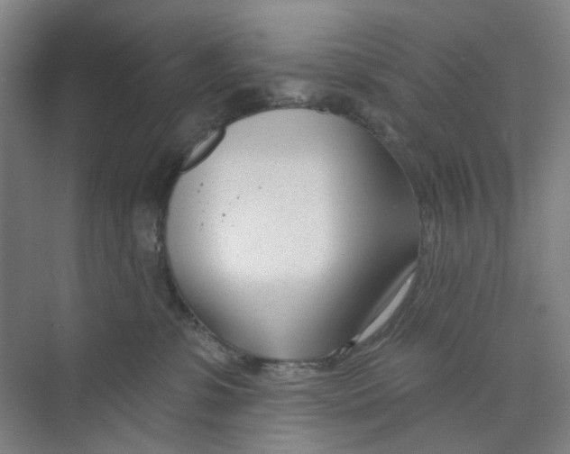 X0000074020331200609181907