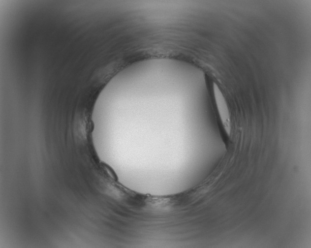 X0000074020334200609181907