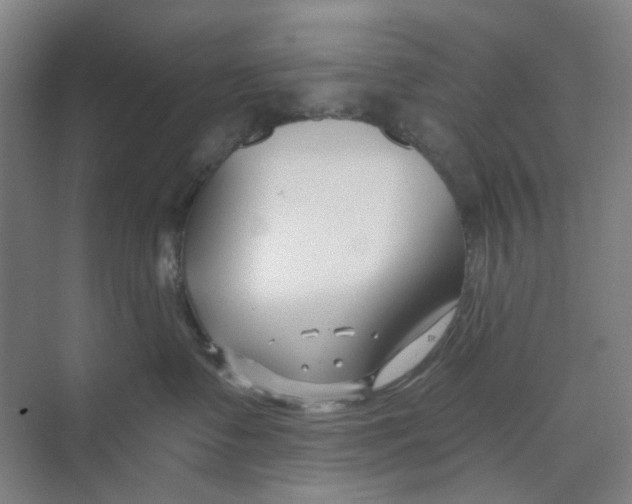 X0000074020335200609181907