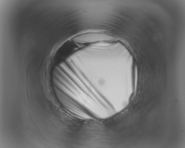 X0000074020337200609181906
