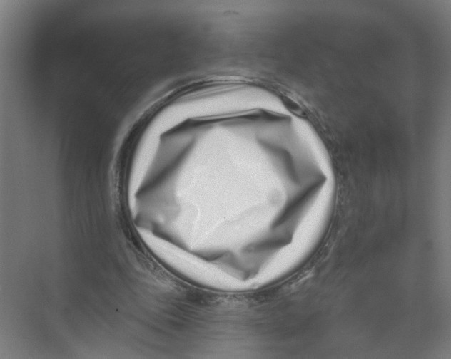 X0000074020343200609181906