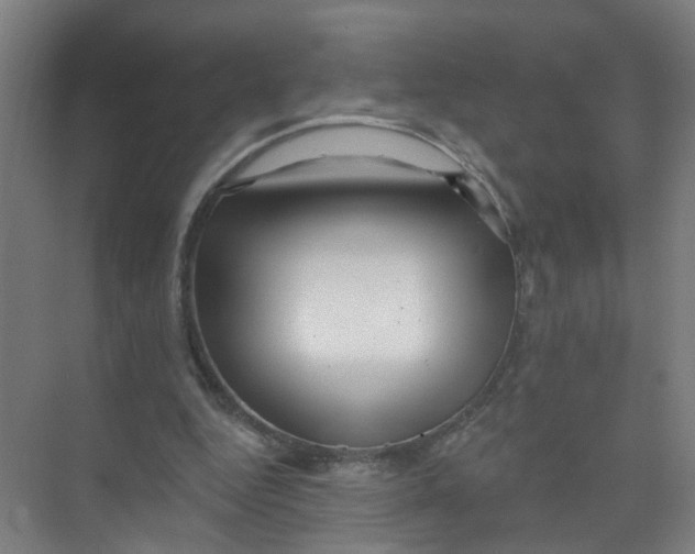 X0000074020344200609181906