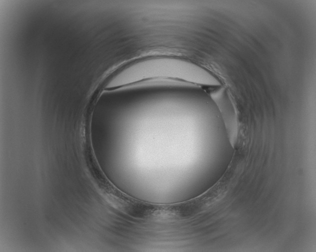 X0000074020348200609181906