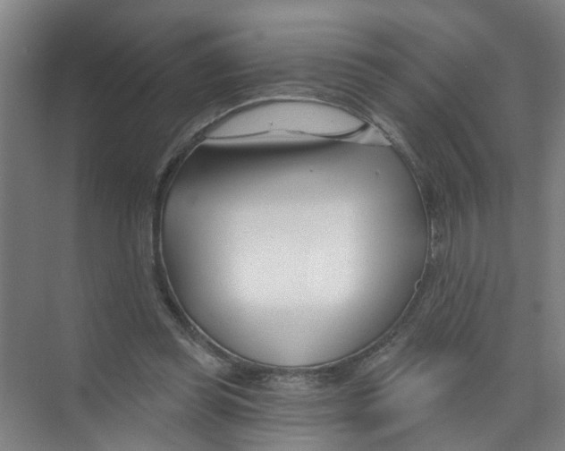 X0000074020349200609181906