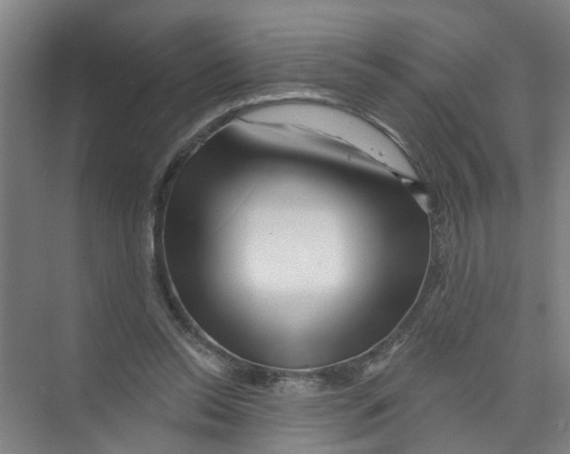 X0000074020350200609181906