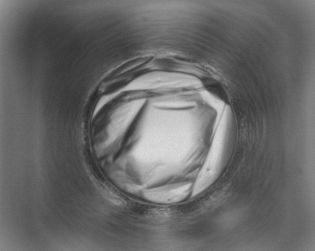 X0000074020351200609181906
