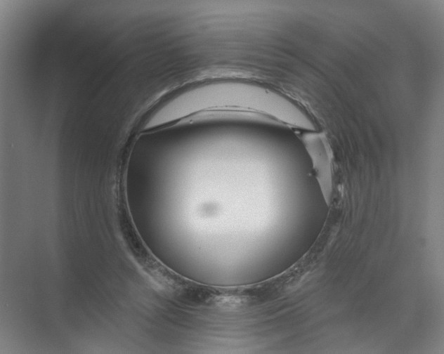 X0000074020352200609181906