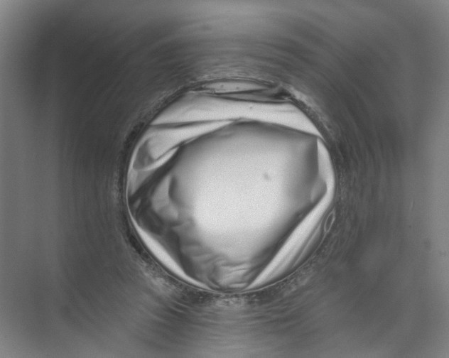 X0000074020353200609181906