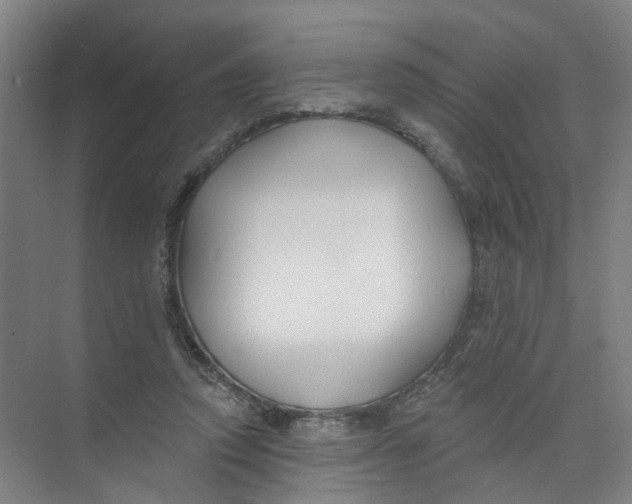 X0000074020354200609181906