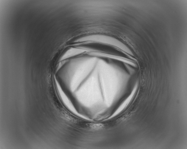 X0000074020355200609181906