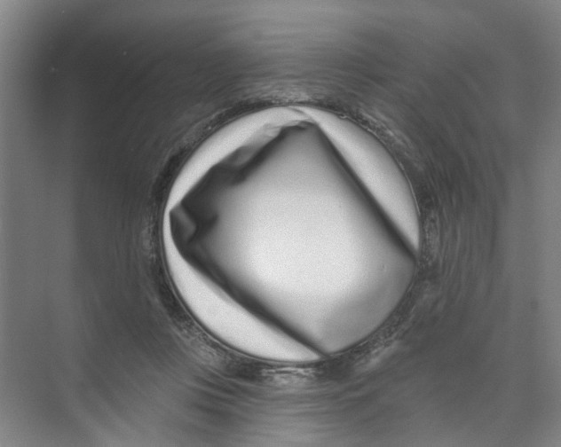 X0000074020359200609181907