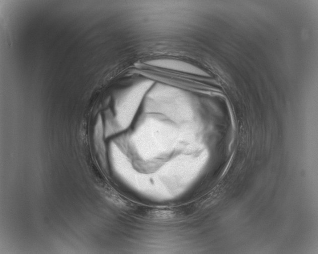 X0000074020361200609181907