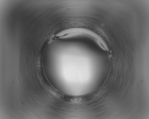 X0000074020362200609181907