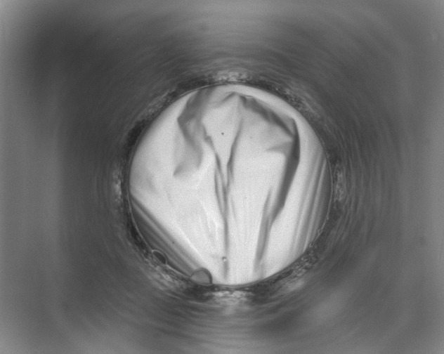 X0000074020363200609181907