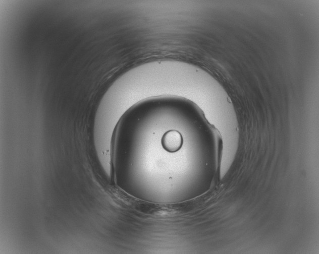 X0000074020364200609181907