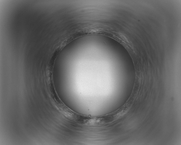 X0000074020366200609181907