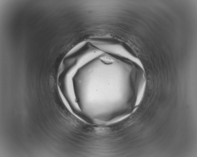 X0000074020371200609181907