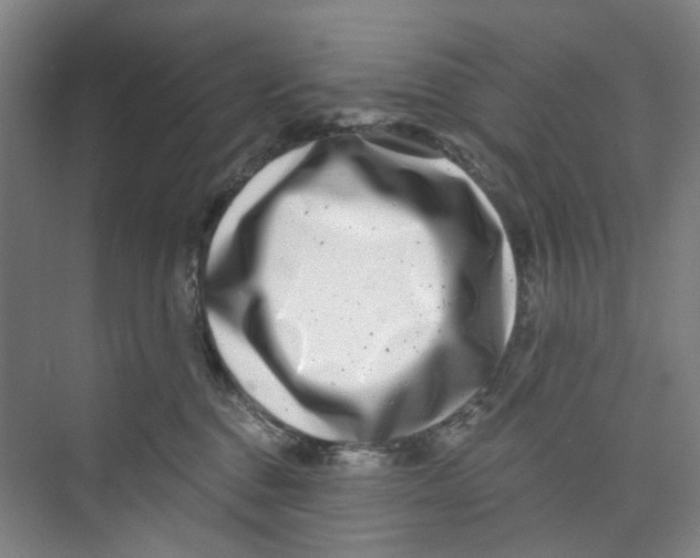 X0000074020376200609181907
