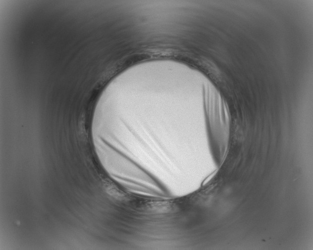 X0000074020377200609181907
