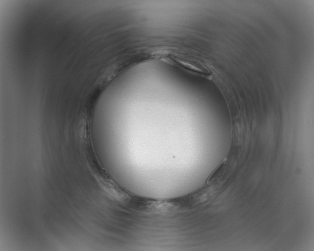 X0000074020379200609181907