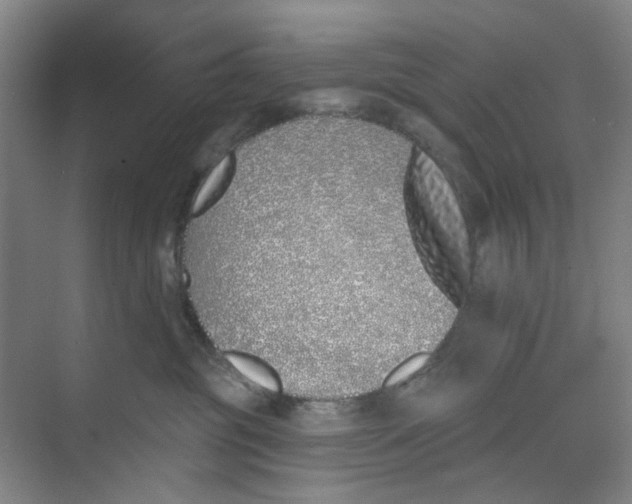 X0000074020381200609181907