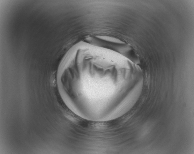 X0000074020383200609181907
