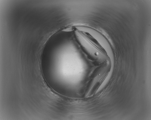 X0000074020385200609181906
