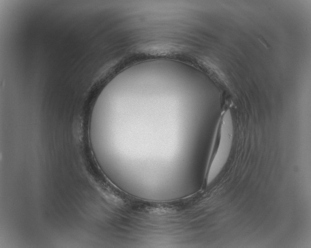 X0000074020400200609181906