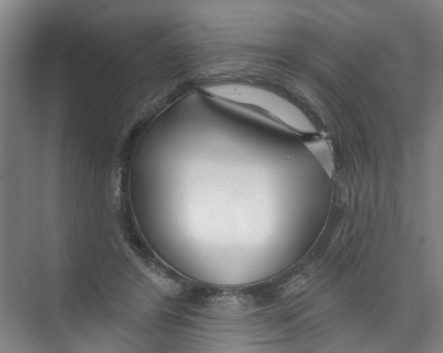 X0000074020404200609181906