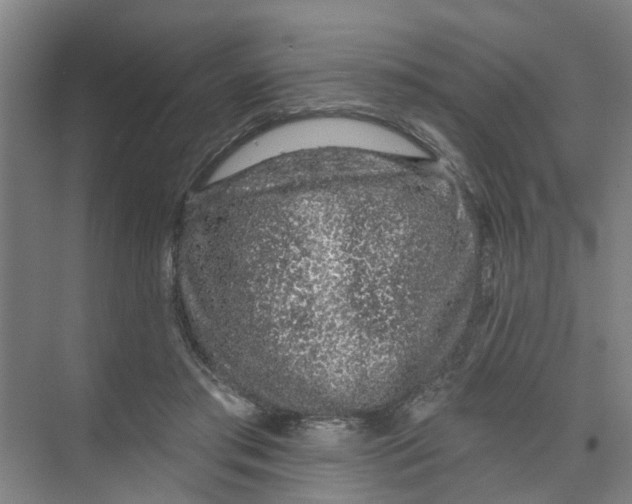 X0000074020405200609181906