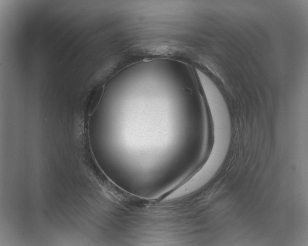 X0000074020407200609181906