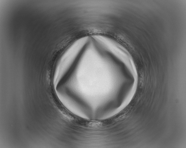 X0000074020410200609181906