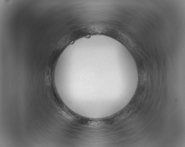 X0000074020414200609181906