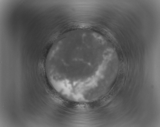 X0000074020415200609181906
