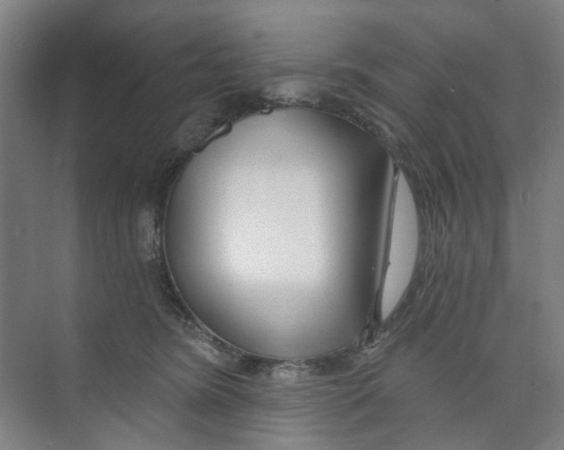 X0000074020420200609181906