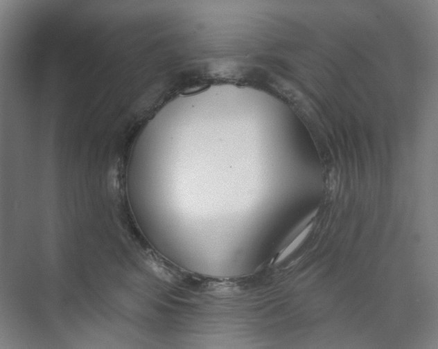 X0000074020424200609181905