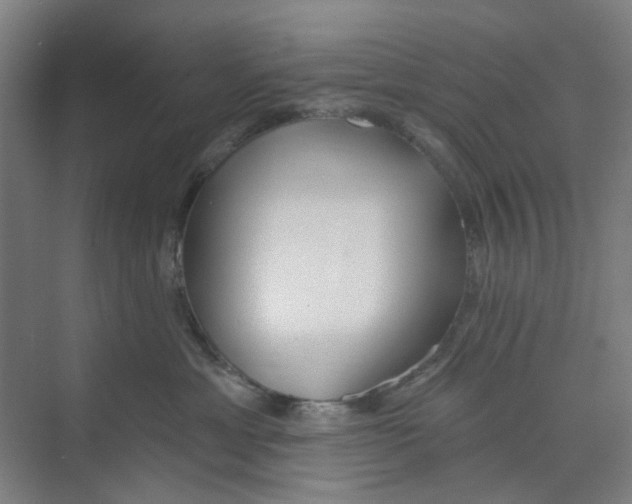 X0000074020429200609181905